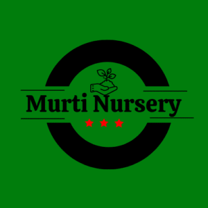 Read more about the article  Top 10 Eco-Friendly Plants That Improve Air Quality Naturally