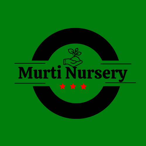 Read more about the article  Top 10 Eco-Friendly Plants That Improve Air Quality Naturally