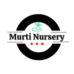 Murti Nursery Malihabad