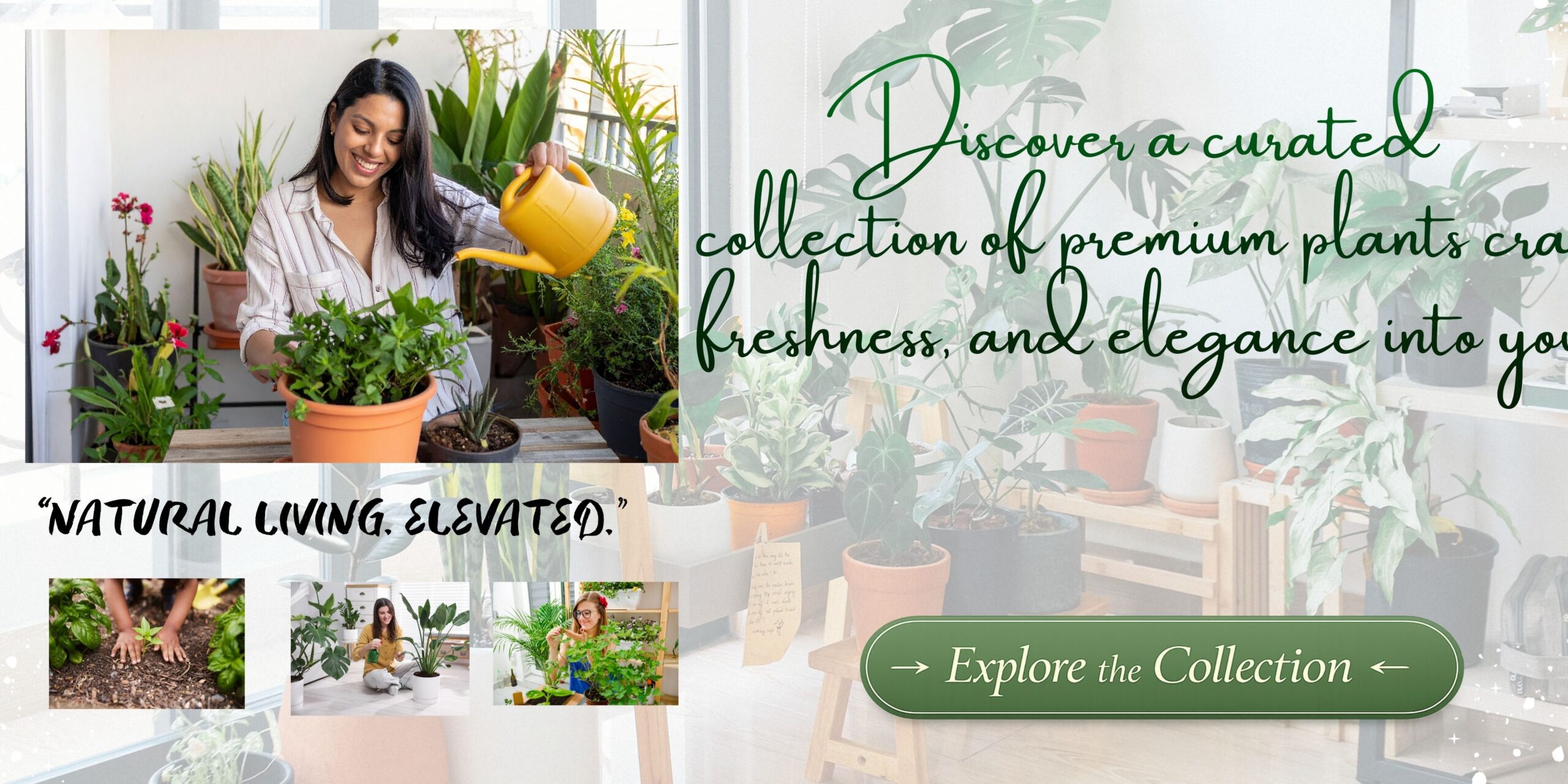 Green Illustrated Welcome Banner Landscape (2)